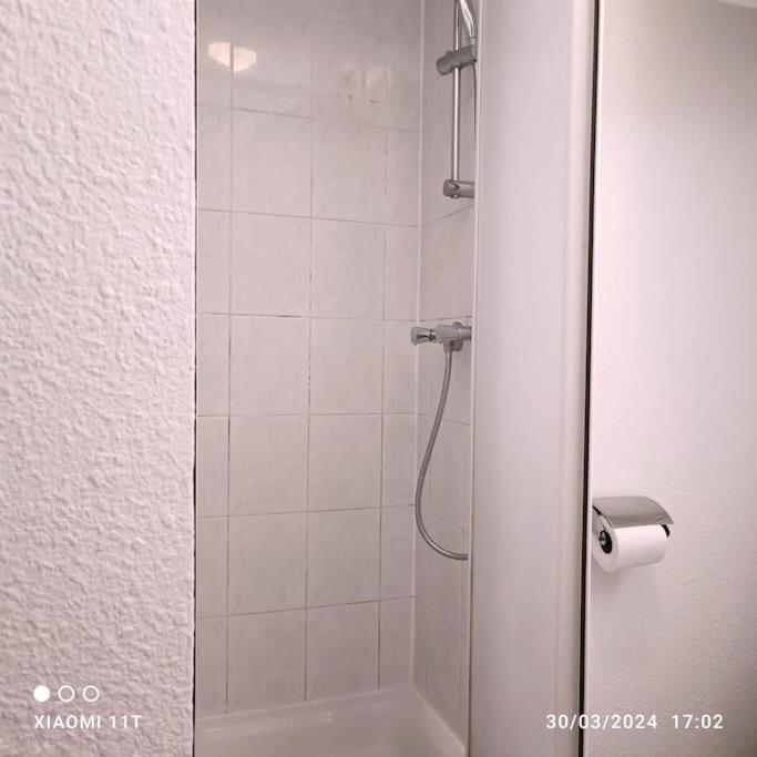Villeurbanne Centre Appartement Meuble מראה חיצוני תמונה