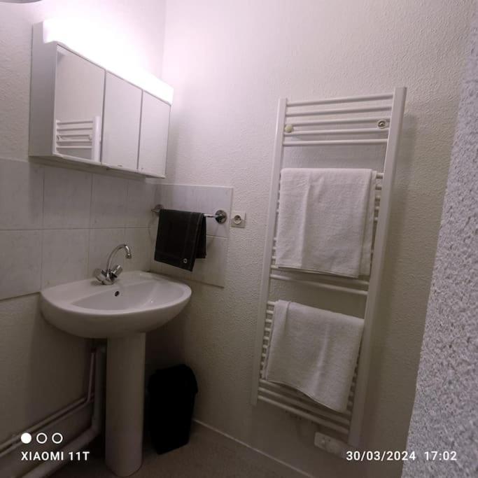 Villeurbanne Centre Appartement Meuble מראה חיצוני תמונה